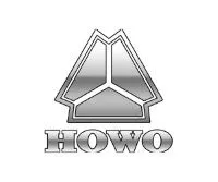 Вкладыши WD615 Евро-2 шатунные ремонтные 0,25 (комплект 12 шт.) Howo VG1560030033+34
