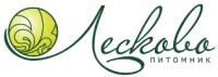 Ежевика кустистая (Rubus fruticosus `Helen`)